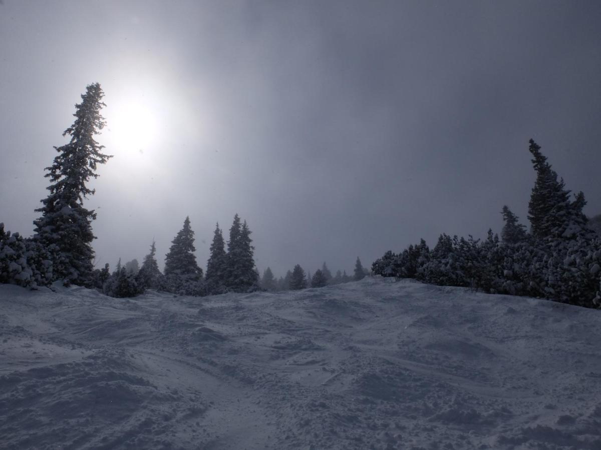 Borovets Apartments, Iglika 2 Esterno foto